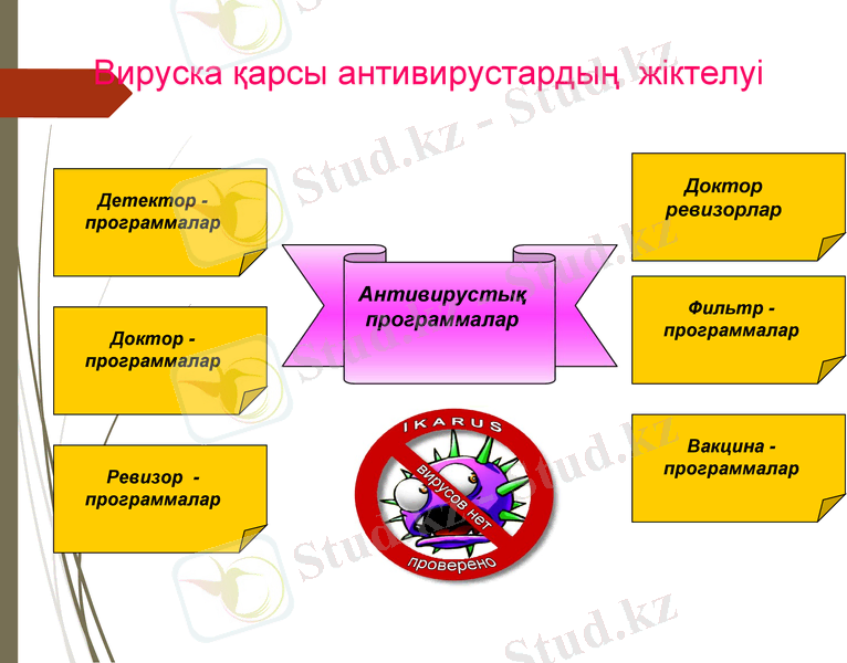 Slide 9