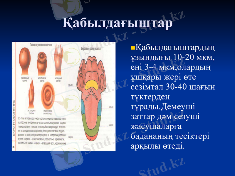 Slide 14