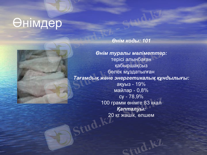 Slide 19