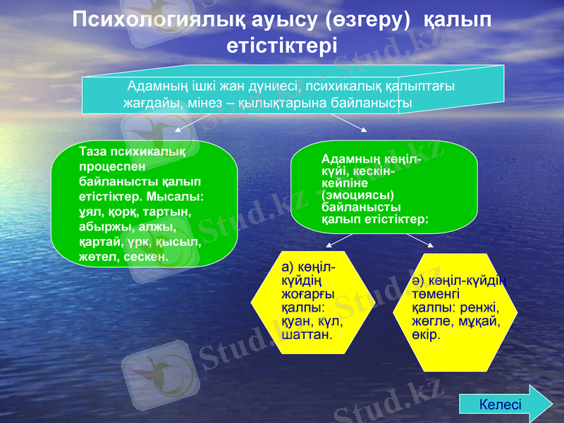 Slide 8