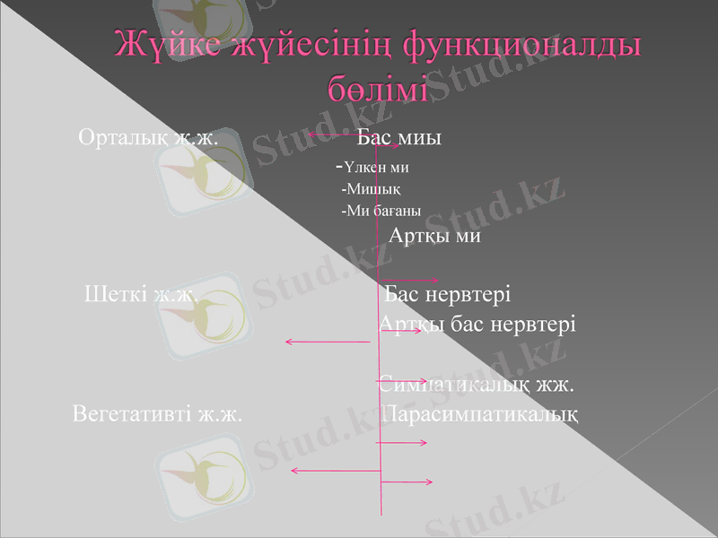 Slide 9