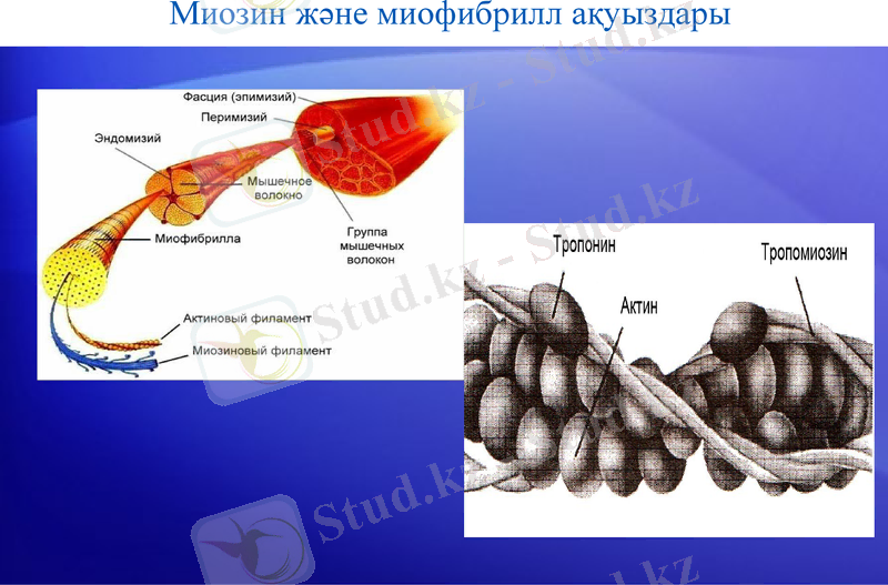 Slide 26