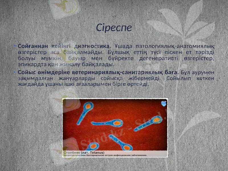Slide 9