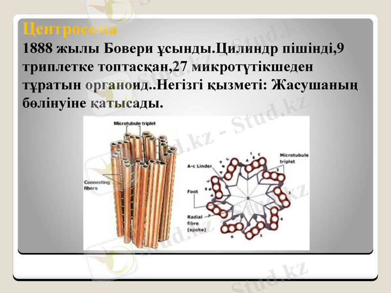 Slide 16