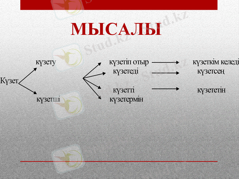 Slide 7