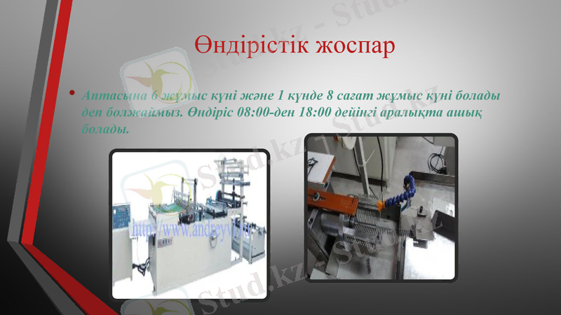 Slide 11