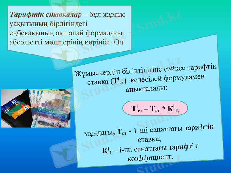 Slide 11