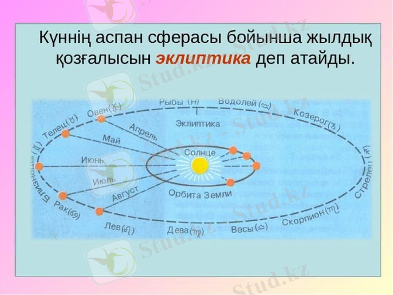 Slide 10