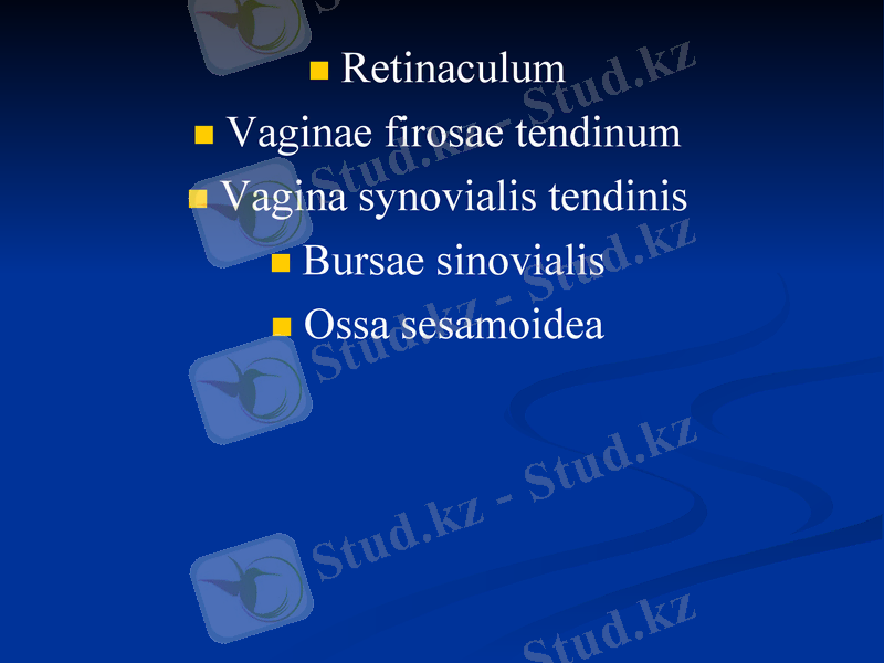 Slide 20