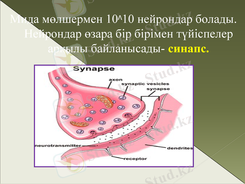 Slide 15