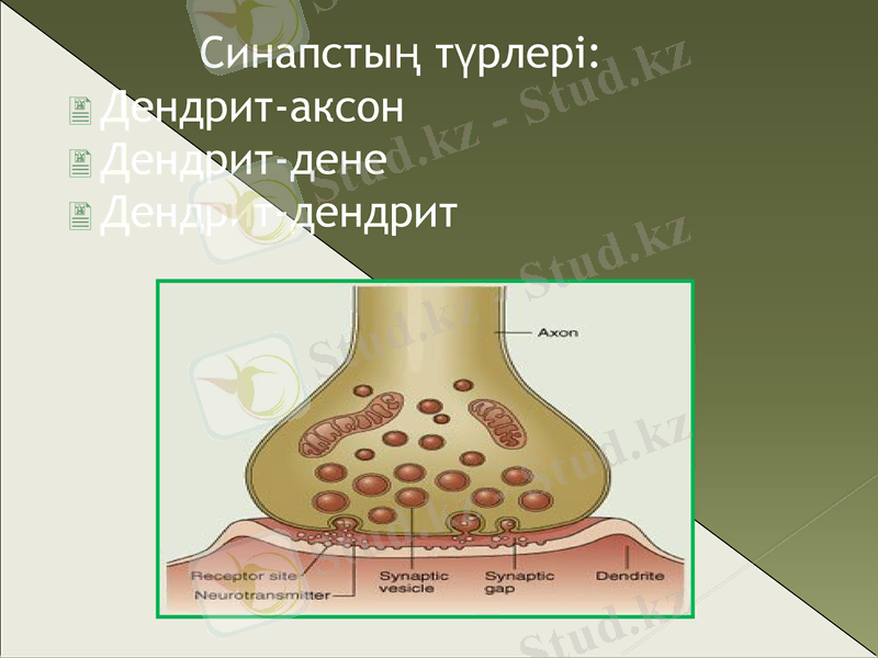 Slide 16