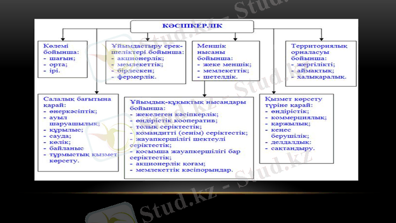 Slide 13