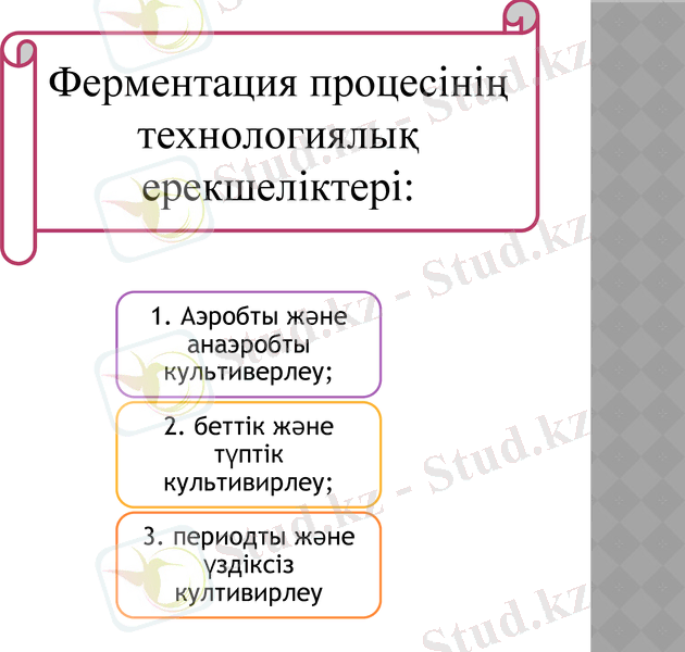 Slide 7