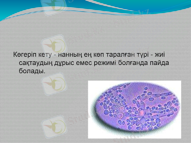 Slide 13