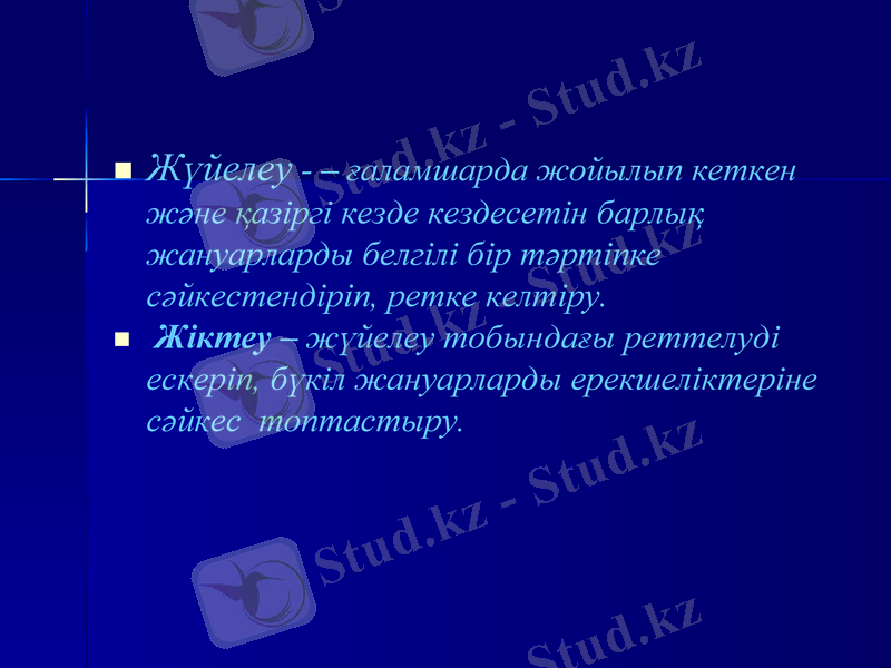 Slide 12