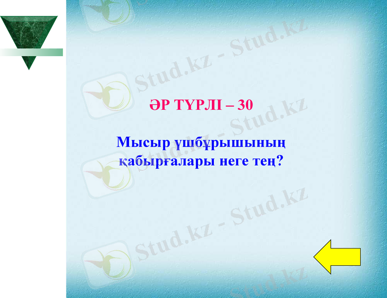 Slide 22