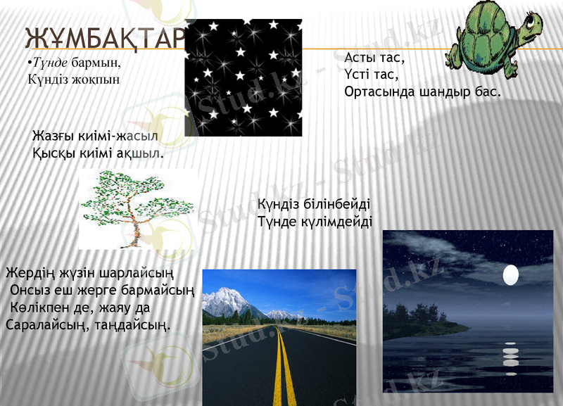 Slide 14