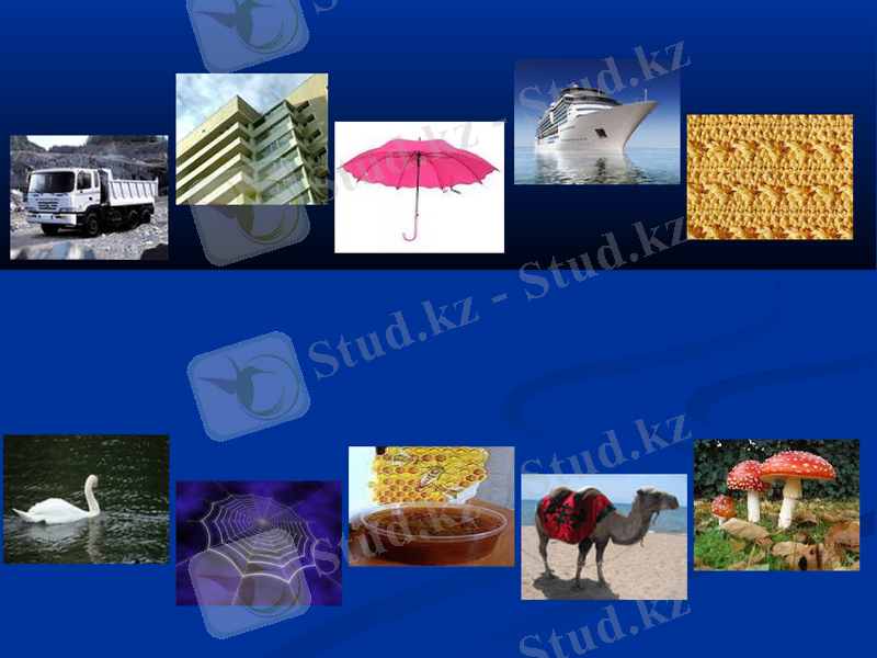 Slide 27