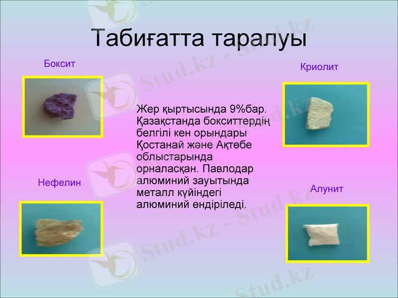 Slide 10