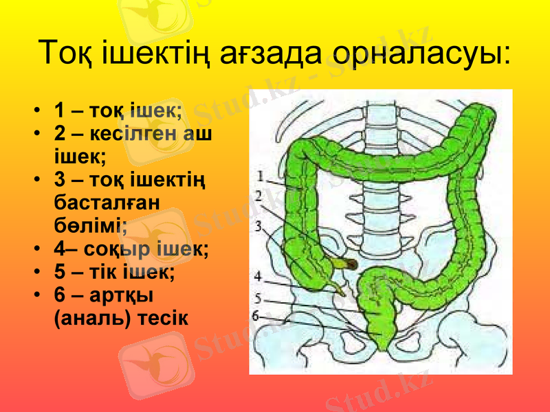 Slide 27