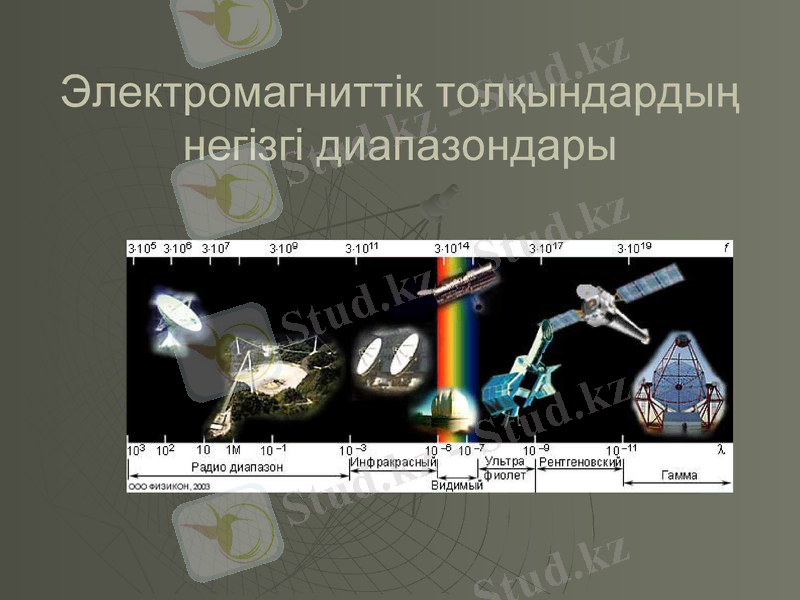 Slide 10