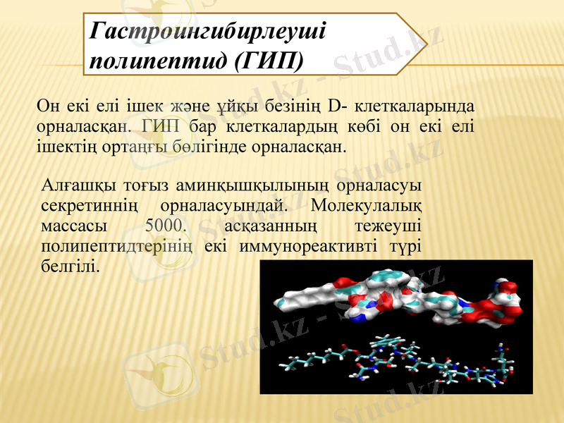 Slide 29