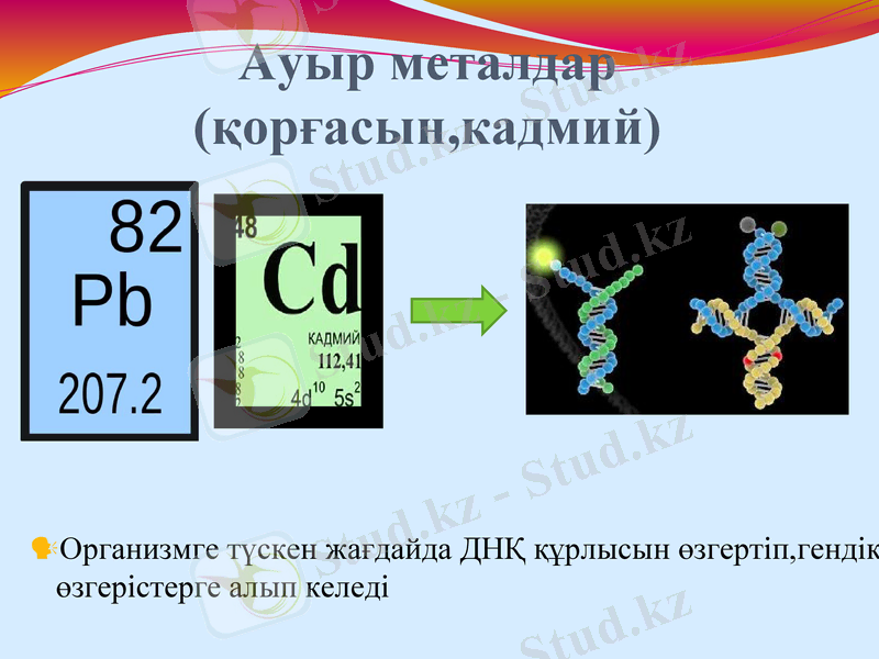 Slide 17