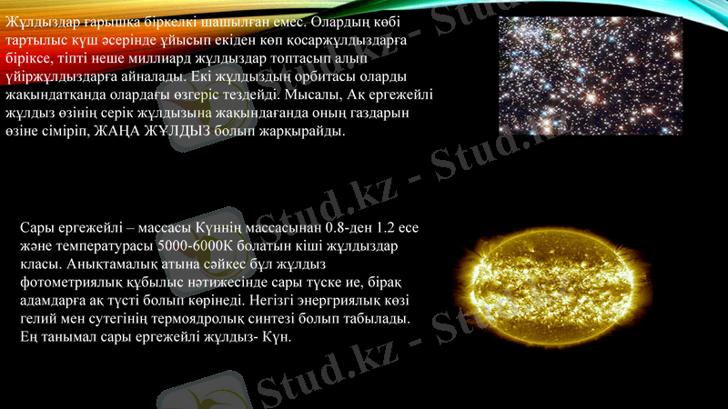 Slide 13