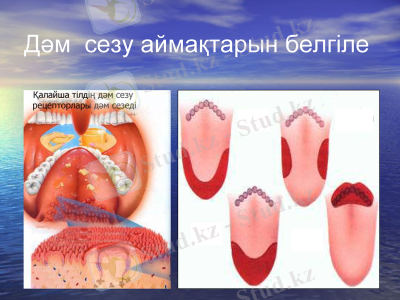 Slide 11