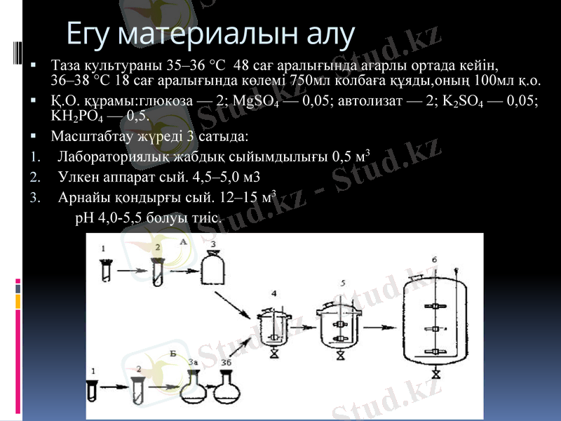Slide 11