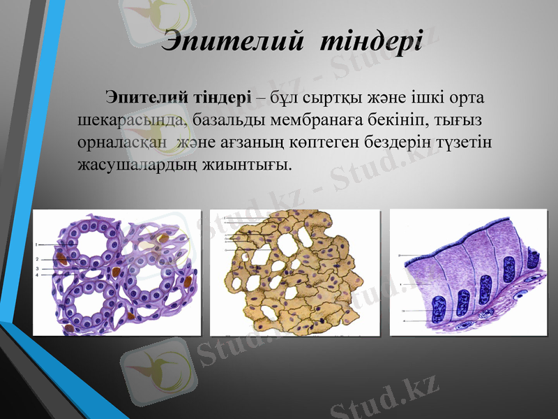 Slide 3