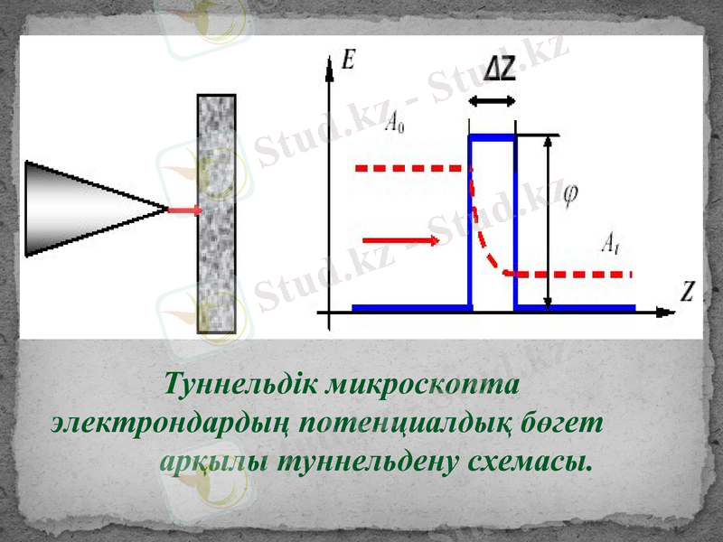 Slide 9