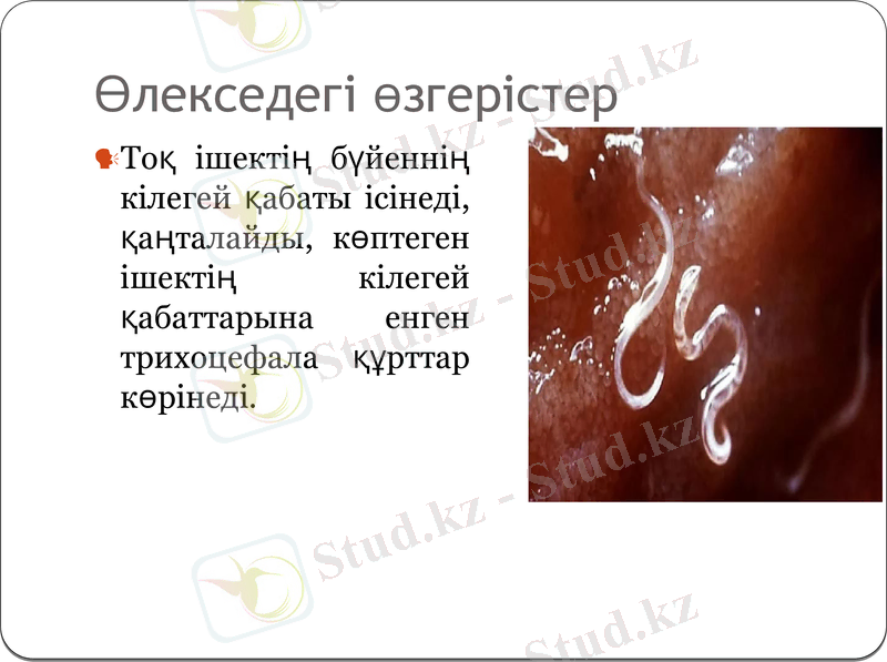 Slide 13