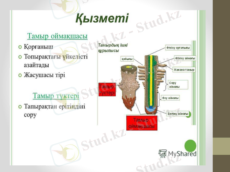 Slide 8