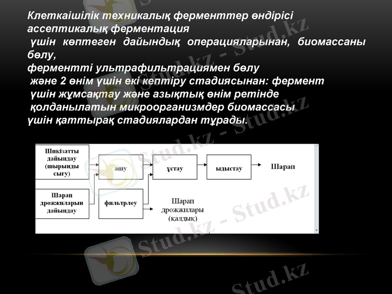 Slide 7
