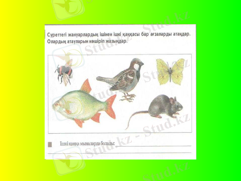 Slide 14