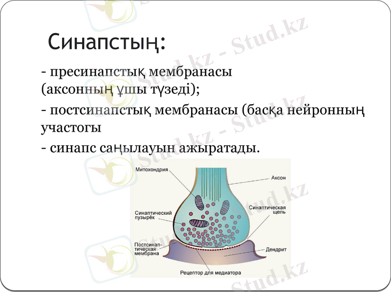 Slide 9