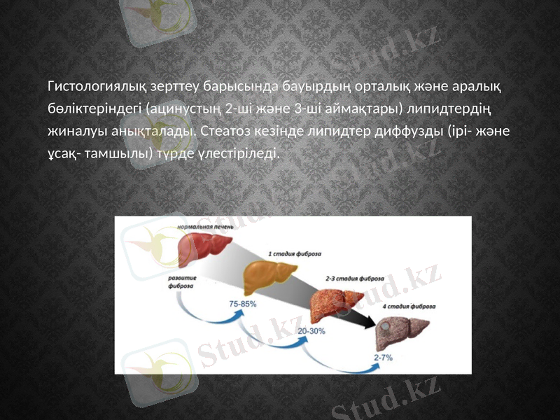 Slide 24