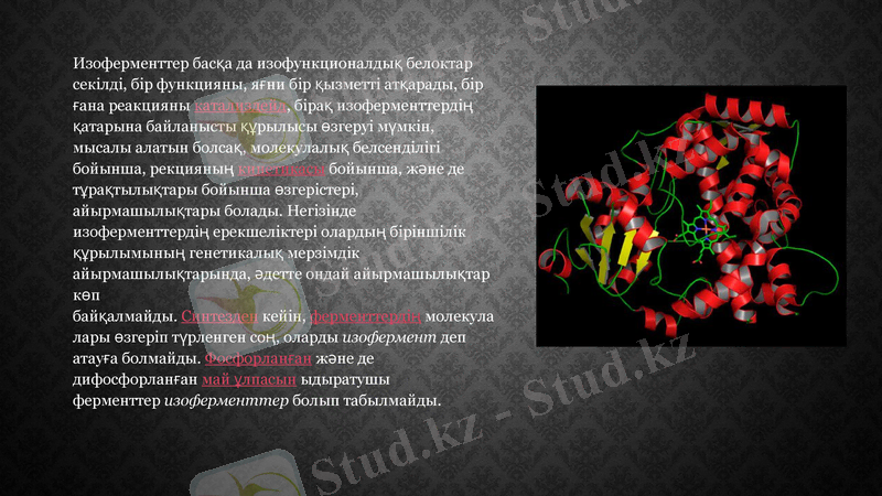 Slide 19