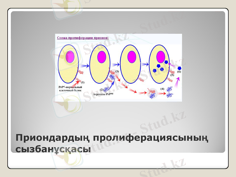 Slide 11
