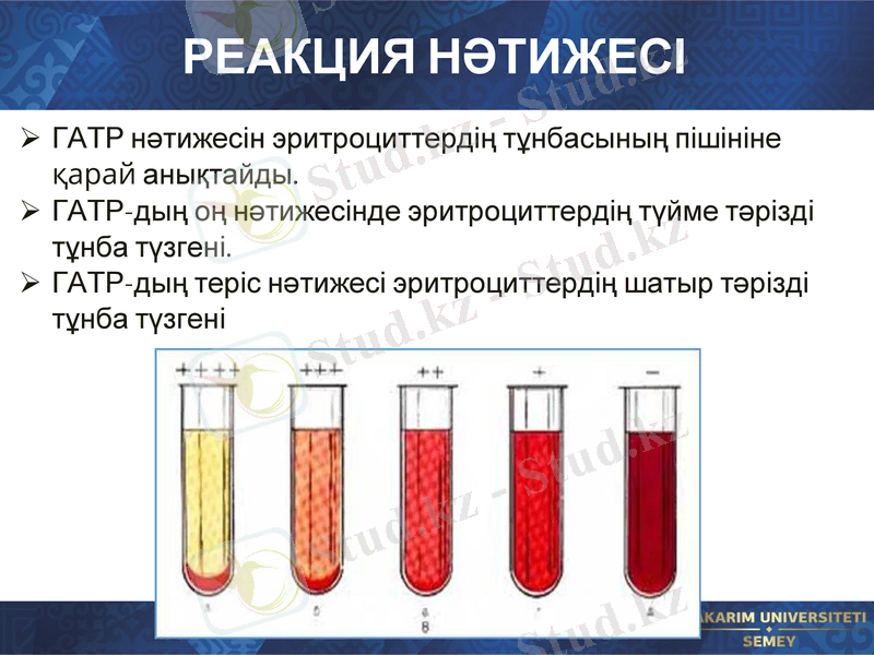 Slide 9