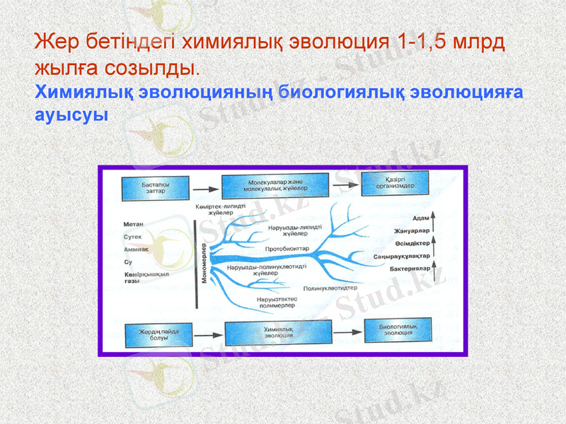 Slide 19