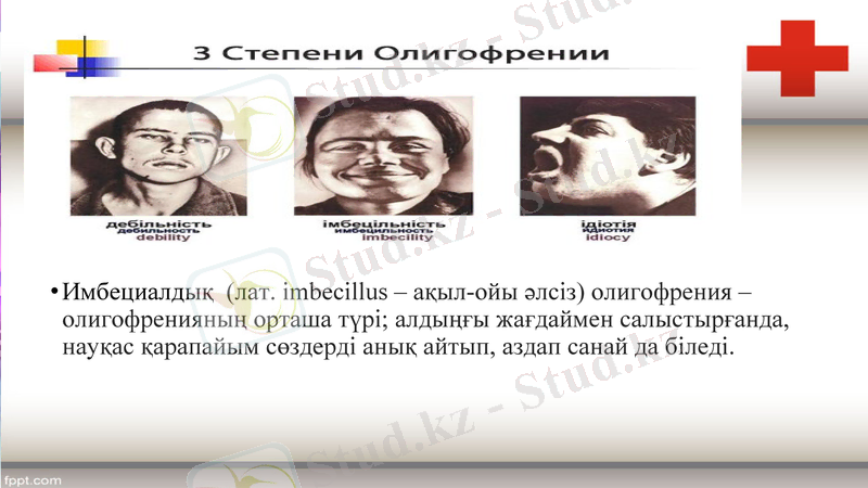 Slide 19