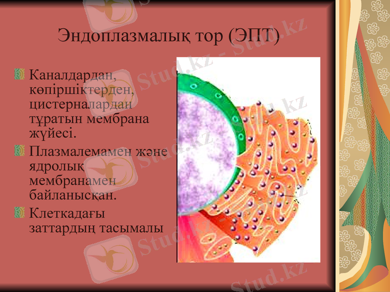 Slide 17