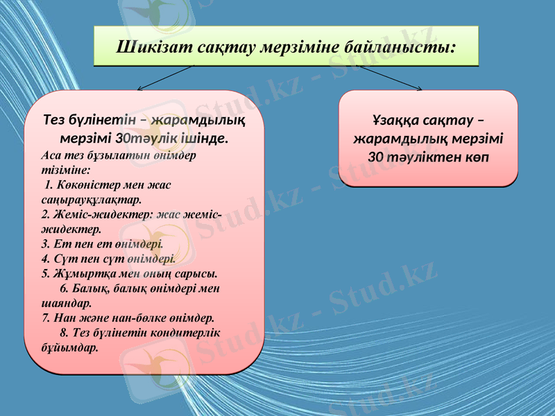 Slide 7