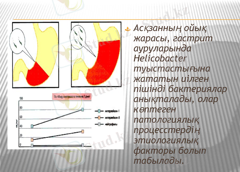 Slide 8