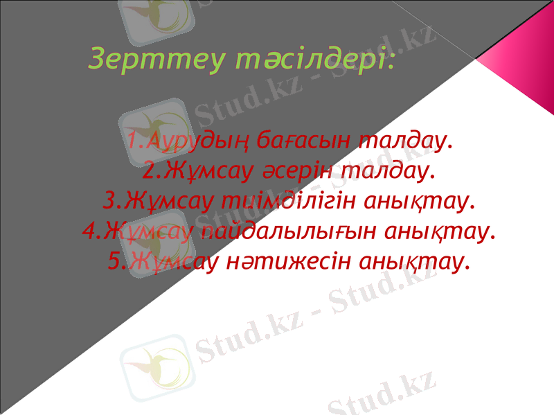 Slide 13