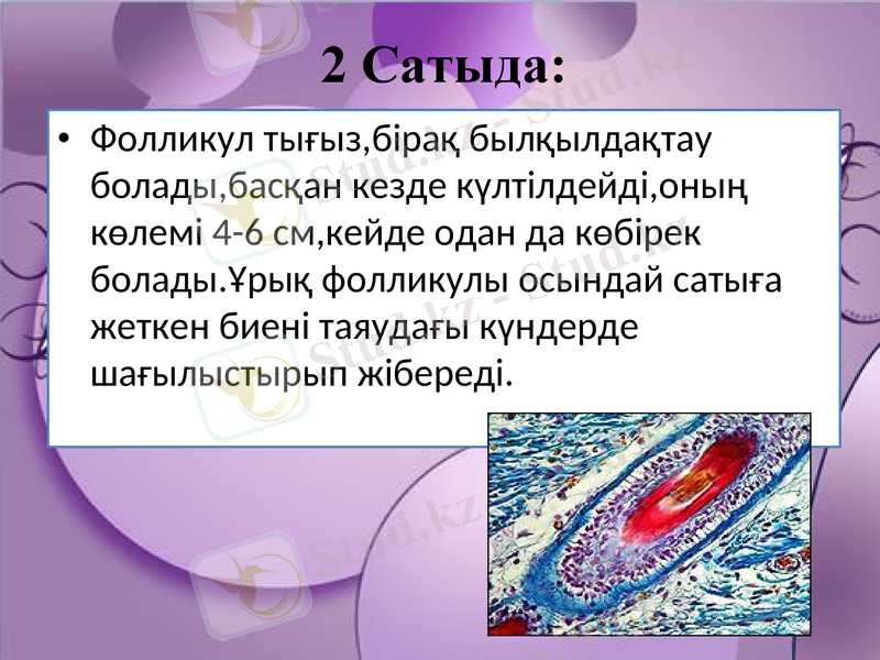 Slide 12