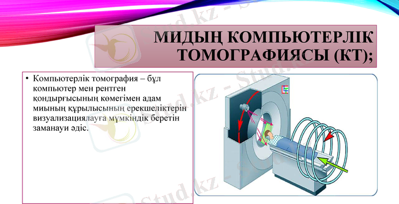 Slide 13