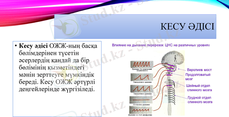 Slide 6